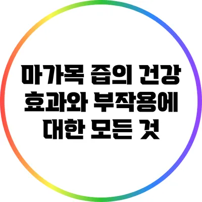 마가목 즙의 건강 효과와 부작용에 대한 모든 것