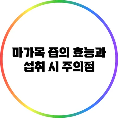 마가목 즙의 효능과 섭취 시 주의점