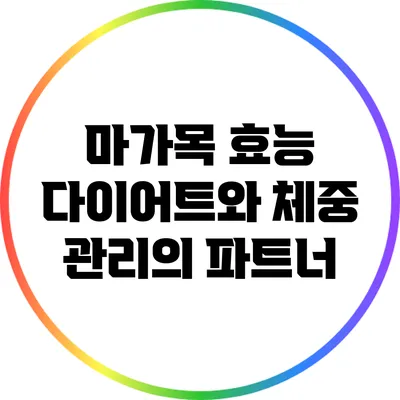 마가목 효능: 다이어트와 체중 관리의 파트너