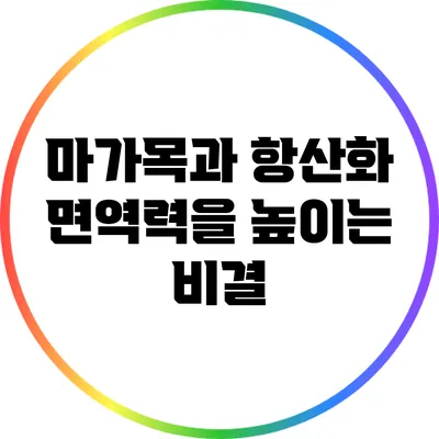 마가목과 항산화: 면역력을 높이는 비결