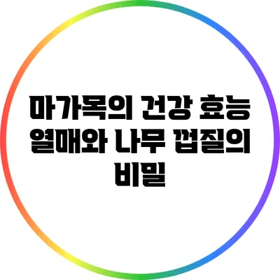 마가목의 건강 효능: 열매와 나무 껍질의 비밀