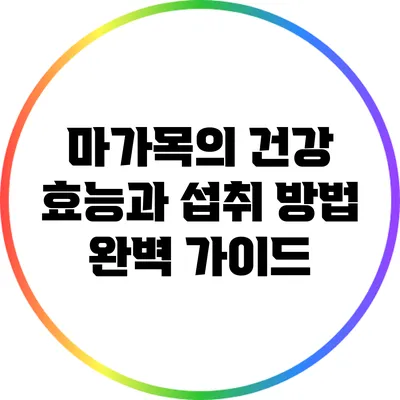 마가목의 건강 효능과 섭취 방법 완벽 가이드
