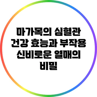 마가목의 심혈관 건강 효능과 부작용: 신비로운 열매의 비밀