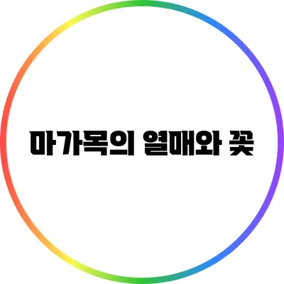마가목의 열매와 꽃