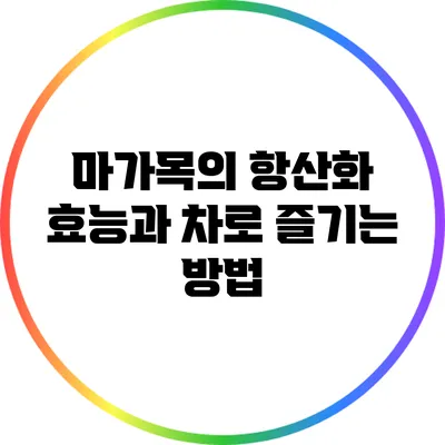 마가목의 항산화 효능과 차로 즐기는 방법
