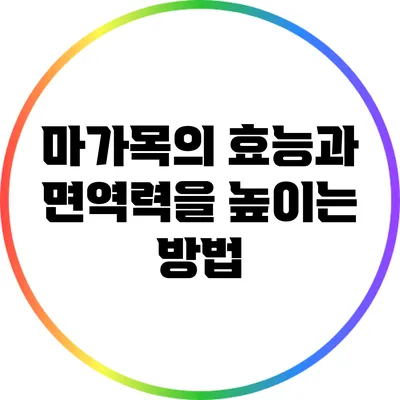 마가목의 효능과 면역력을 높이는 방법