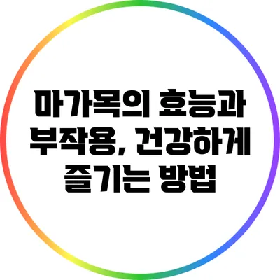 마가목의 효능과 부작용, 건강하게 즐기는 방법