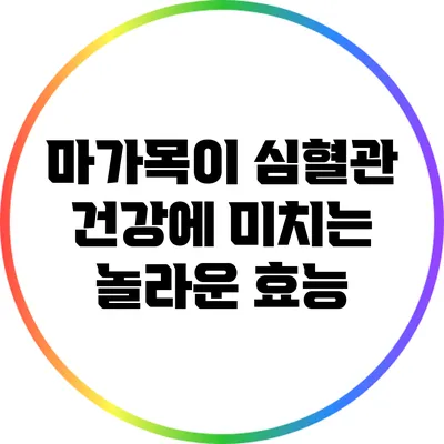 마가목이 심혈관 건강에 미치는 놀라운 효능