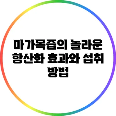 마가목즙의 놀라운 항산화 효과와 섭취 방법