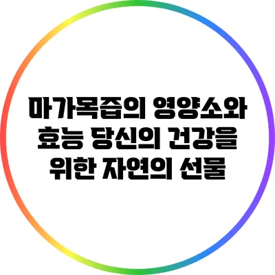 마가목즙의 영양소와 효능: 당신의 건강을 위한 자연의 선물