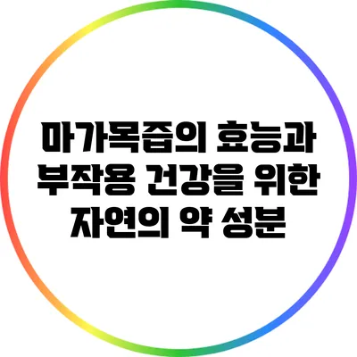 마가목즙의 효능과 부작용: 건강을 위한 자연의 약 성분