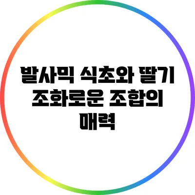 발사믹 식초와 딸기: 조화로운 조합의 매력