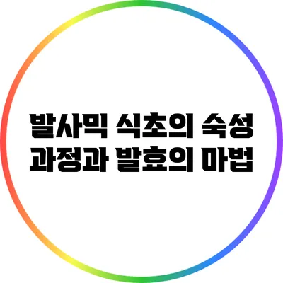 발사믹 식초의 숙성 과정과 발효의 마법