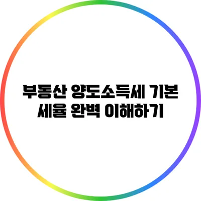 부동산 양도소득세 기본 세율 완벽 이해하기