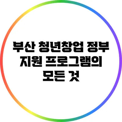 부산 청년창업 정부 지원 프로그램의 모든 것
