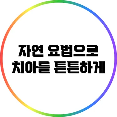 자연 요법으로 치아를 튼튼하게