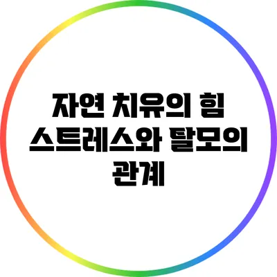 자연 치유의 힘: 스트레스와 탈모의 관계