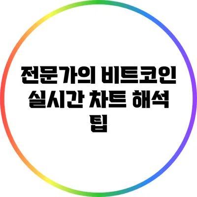 전문가의 비트코인 실시간 차트 해석 팁