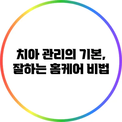 치아 관리의 기본, 잘하는 홈케어 비법