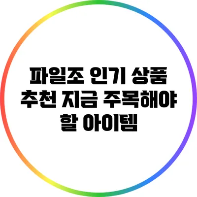 파일조 인기 상품 추천 지금 주목해야 할 아이템