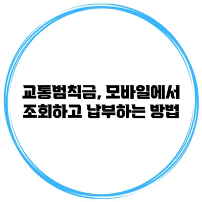 교통범칙금, 모바일에서 조회하고 납부하는 방법