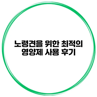 노령견을 위한 최적의 영양제 사용 후기