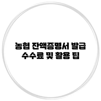 농협 잔액증명서 발급 수수료 및 활용 팁
