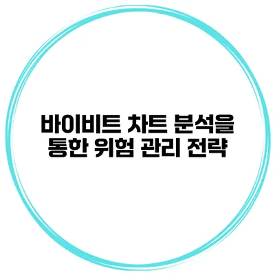 바이비트 차트 분석을 통한 위험 관리 전략