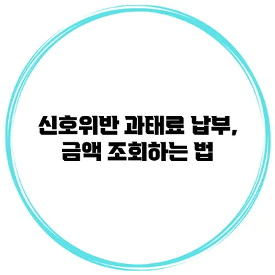 신호위반 과태료 납부, 금액 조회하는 법