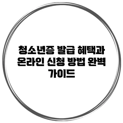 청소년증 발급 혜택과 온라인 신청 방법 완벽 가이드
