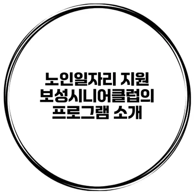 노인일자리 지원: 보성시니어클럽의 프로그램 소개